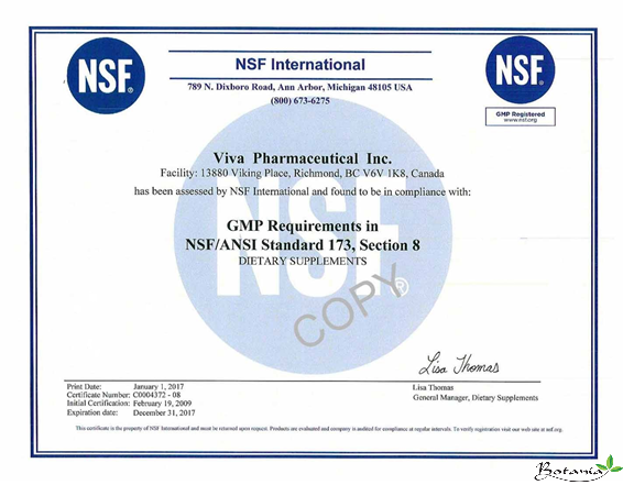 chứng nhận GMP của tổ chức y tế thế giới WHO