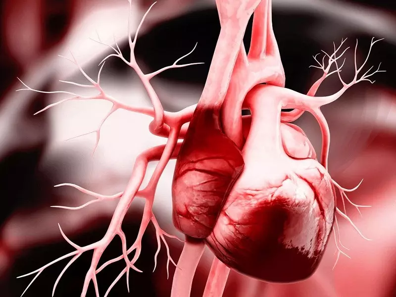 Thiếu máu cơ tim - “Hung thần” đứng sau hàng triệu ca tử vong trên toàn thế giới