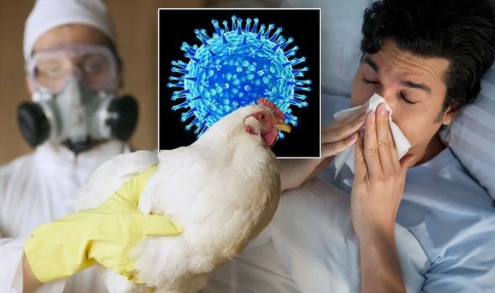 Cẩn trọng nguy cơ mắc cúm A H5N1 dịp cuối năm